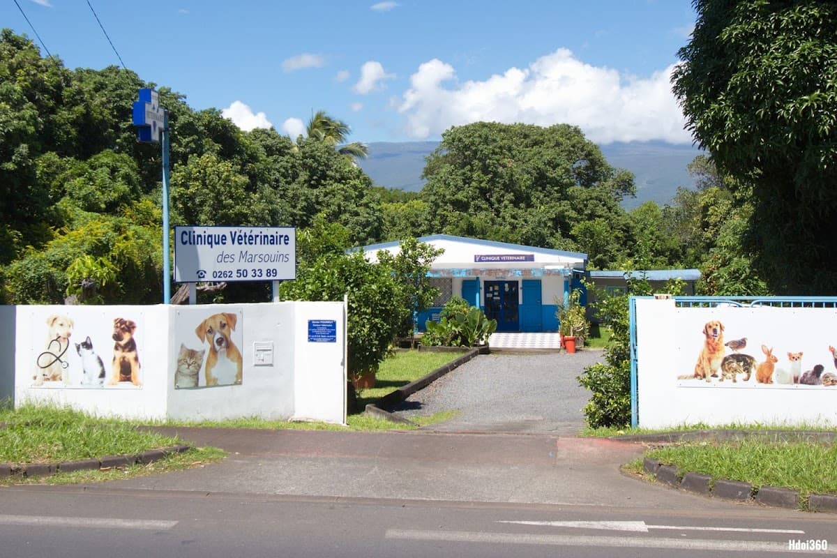 Clinique Vétérinaire des Marsouins