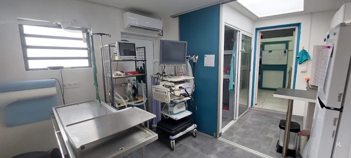 Clinique vétérinaire du Port