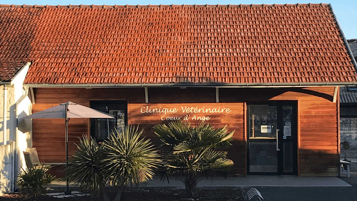 Drv Cécile Majesté -Clinique Vétérinaire Coeur D’ange