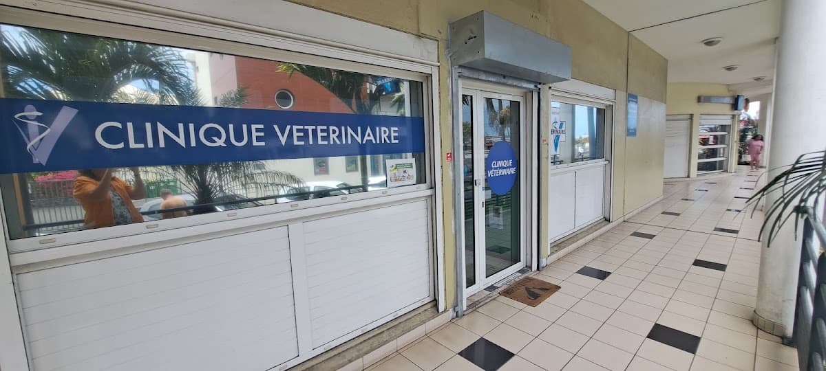 Vétérinaires des Lataniers