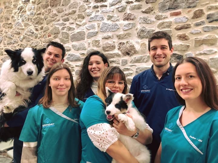 Optimavet - Centre Vétérinaire à Merbes-le-Château