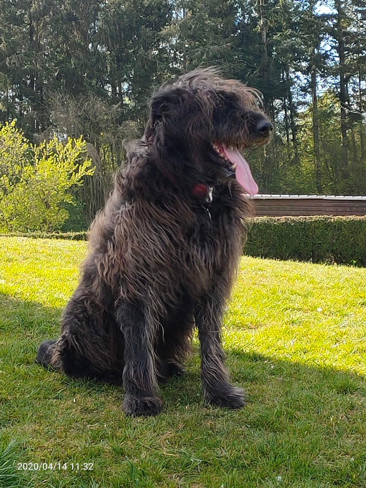 Clinique Veterinaire du Dr Bouckaert