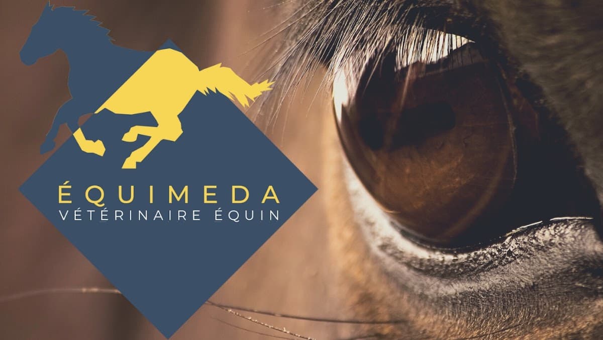 Equimeda - Alexandra Debacker - Vétérinaire équin - Rennes