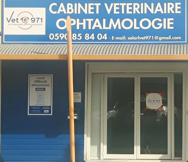 CABINET VETERINAIRE OPHTALMOLOGIE VET971