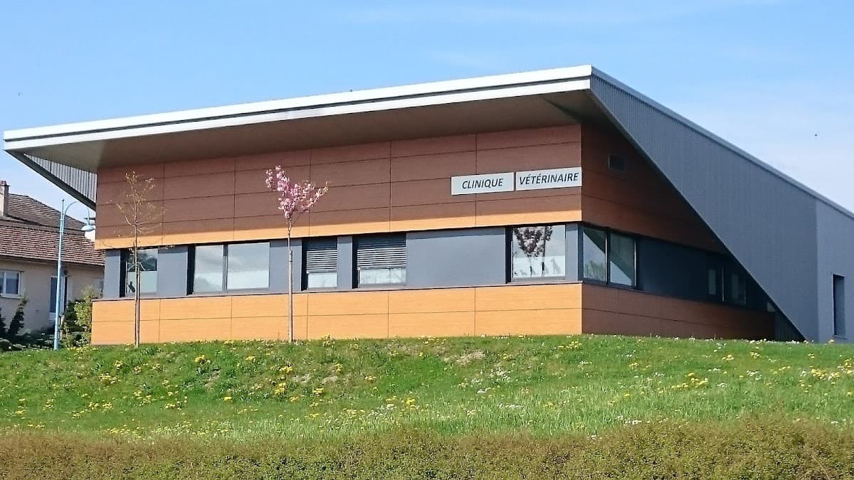 Clinique Vétérinaire du Chat Perché